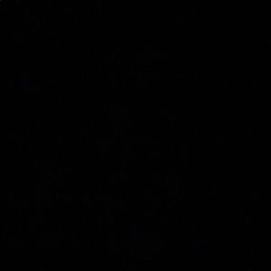 Meet your Posher, Charlie